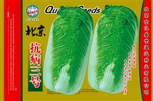 香瓜种子生长习性优质种子供货商